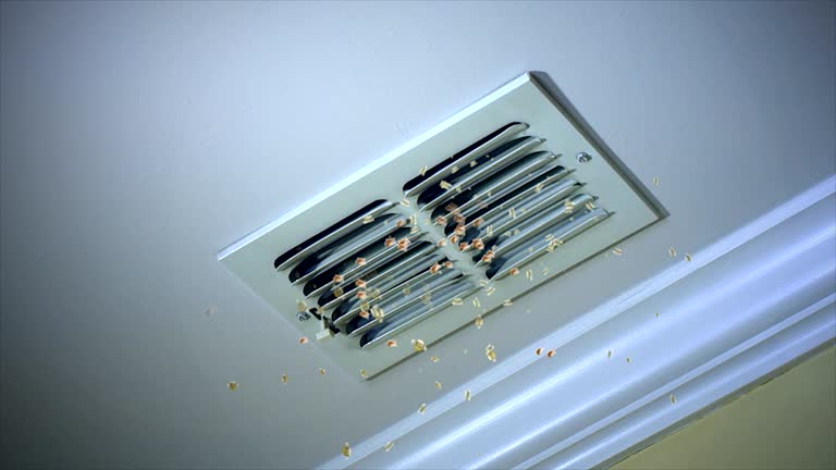 Best Ventilation Cleaning Services  in Alton, IL